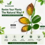 Wermure Premium Vermicompost bag for indoor and garden plants India