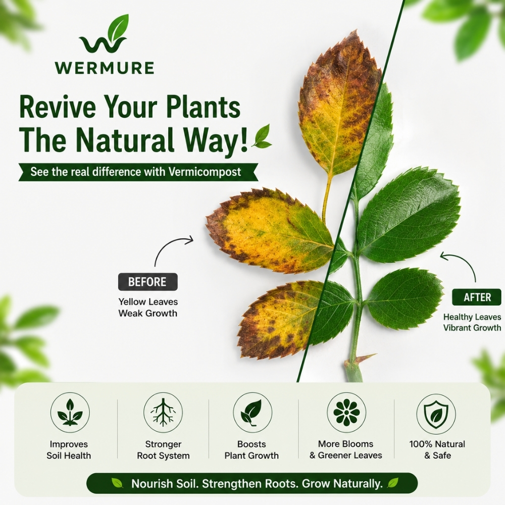 Wermure Premium Vermicompost bag for indoor and garden plants India