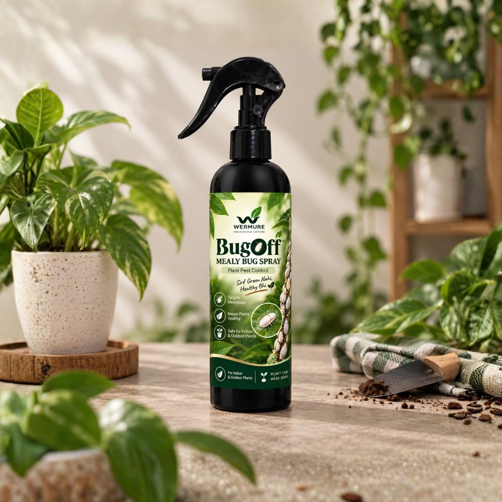Mealy Bug Spray Bottle With Trigger